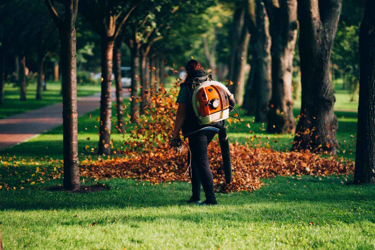  Liberty Triangle, FL TreeGuard Tree Service Pros